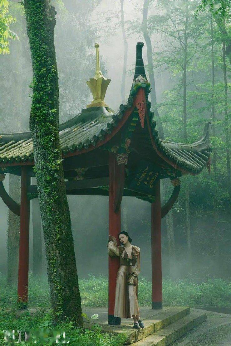 你认为哪本书是你的神!,你的问答宝典